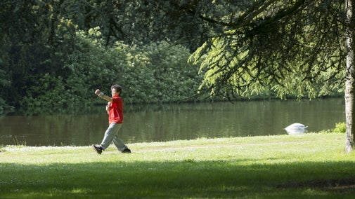 Practising Tai chi in the parkland at Osterley Park, London